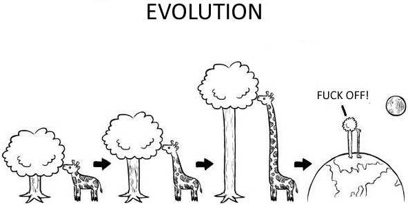 problemas-de-la-evolucion-humor